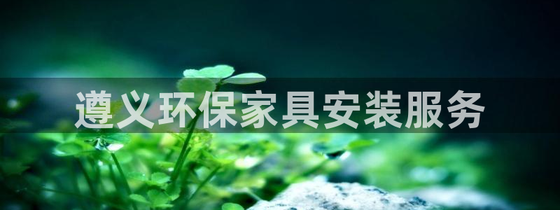 杏耀平台线路测速：遵义环保家具安装服务