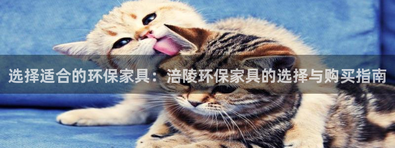 杏耀注册登录