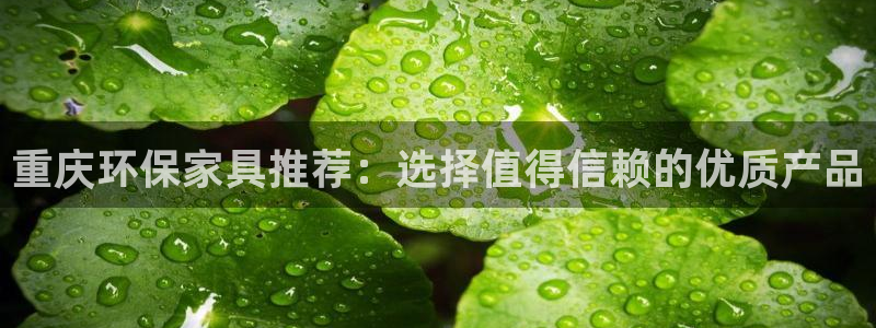 杏耀注册网址：重庆环保家具推荐：选择值得信赖的优质产品