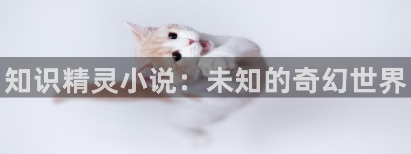 马前卒txt下载笔下文学